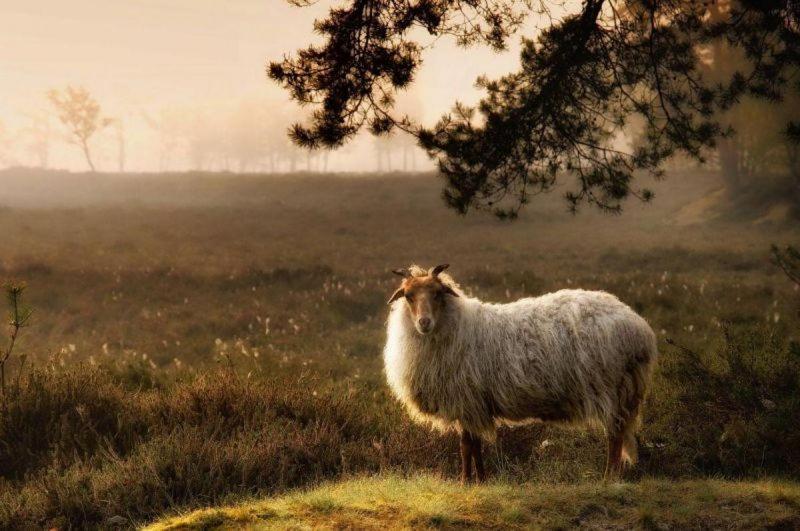 Ludiek Eten En Slapen Havelte Exterior foto